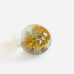 Botanical Paper Weights