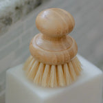 Dish Washing Brush
