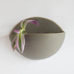 Wall Planter