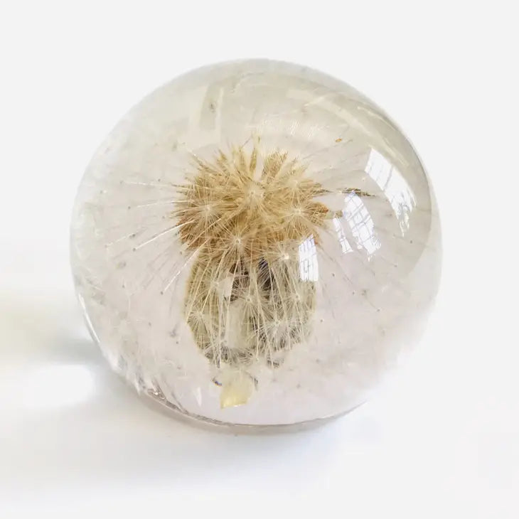 Botanical Paper Weights