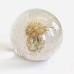 Botanical Paper Weights
