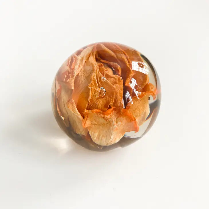 Botanical Paper Weights