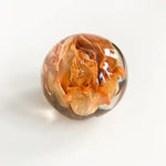 Botanical Paper Weights