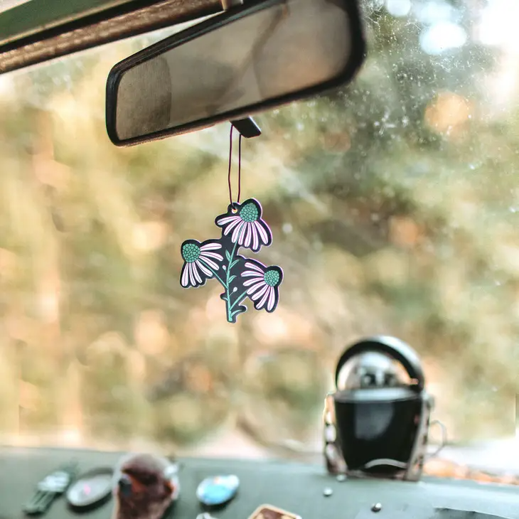 National Parks Car Fragrance