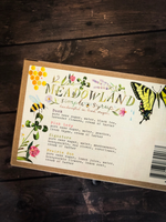 Daydream Collection