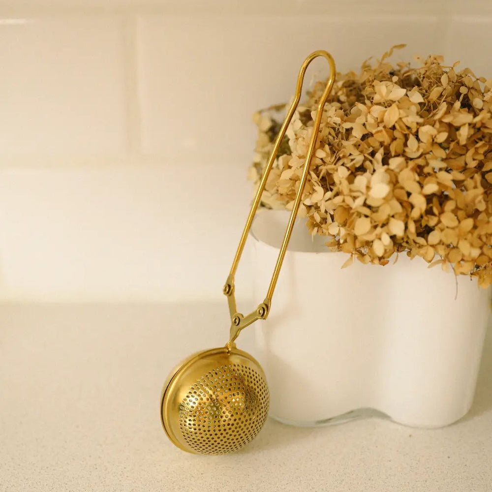 Stainless Steel Tea Infuser