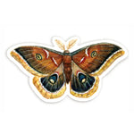 Wild Wander Stickers