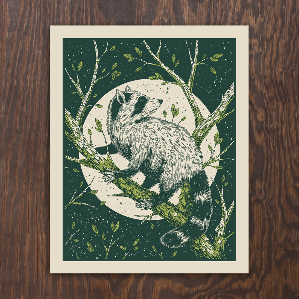 Raccoon Print