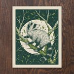 Raccoon Print