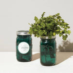 Herb Garden Jar
