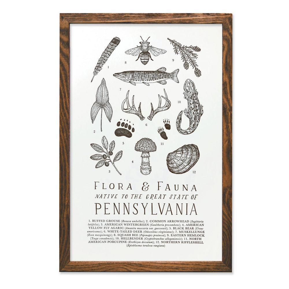 Pennsylvania Field Guide Print
