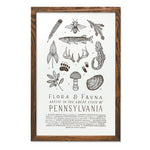 Pennsylvania Field Guide Print