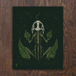 Ghost of a Bullfrog Print