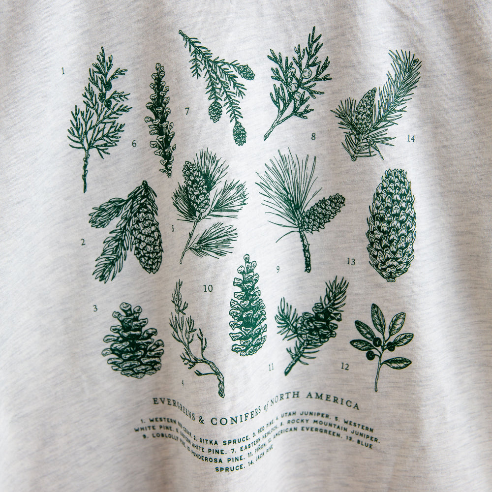 Evergreens of North America T-Shirt - Sand