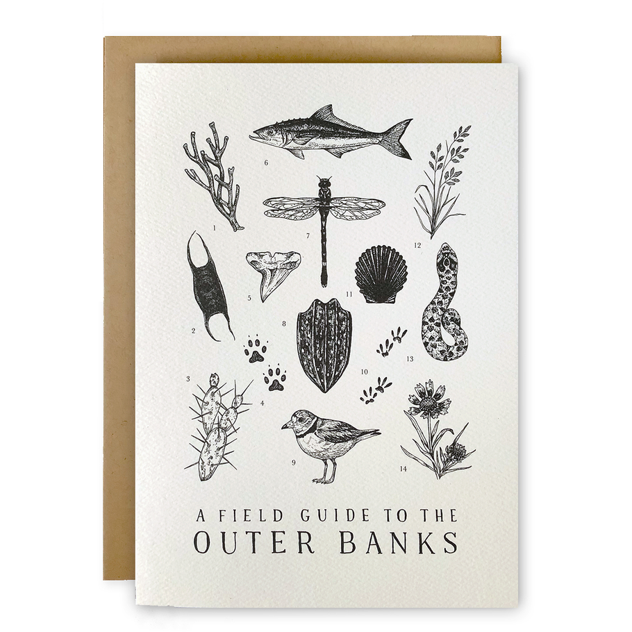 Field Guide Greeting Cards