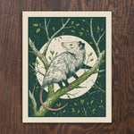 Opossum Screen Print
