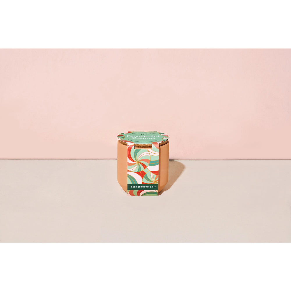 Tiny Terracotta Grow Kit