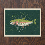 Rainbow Trout Print