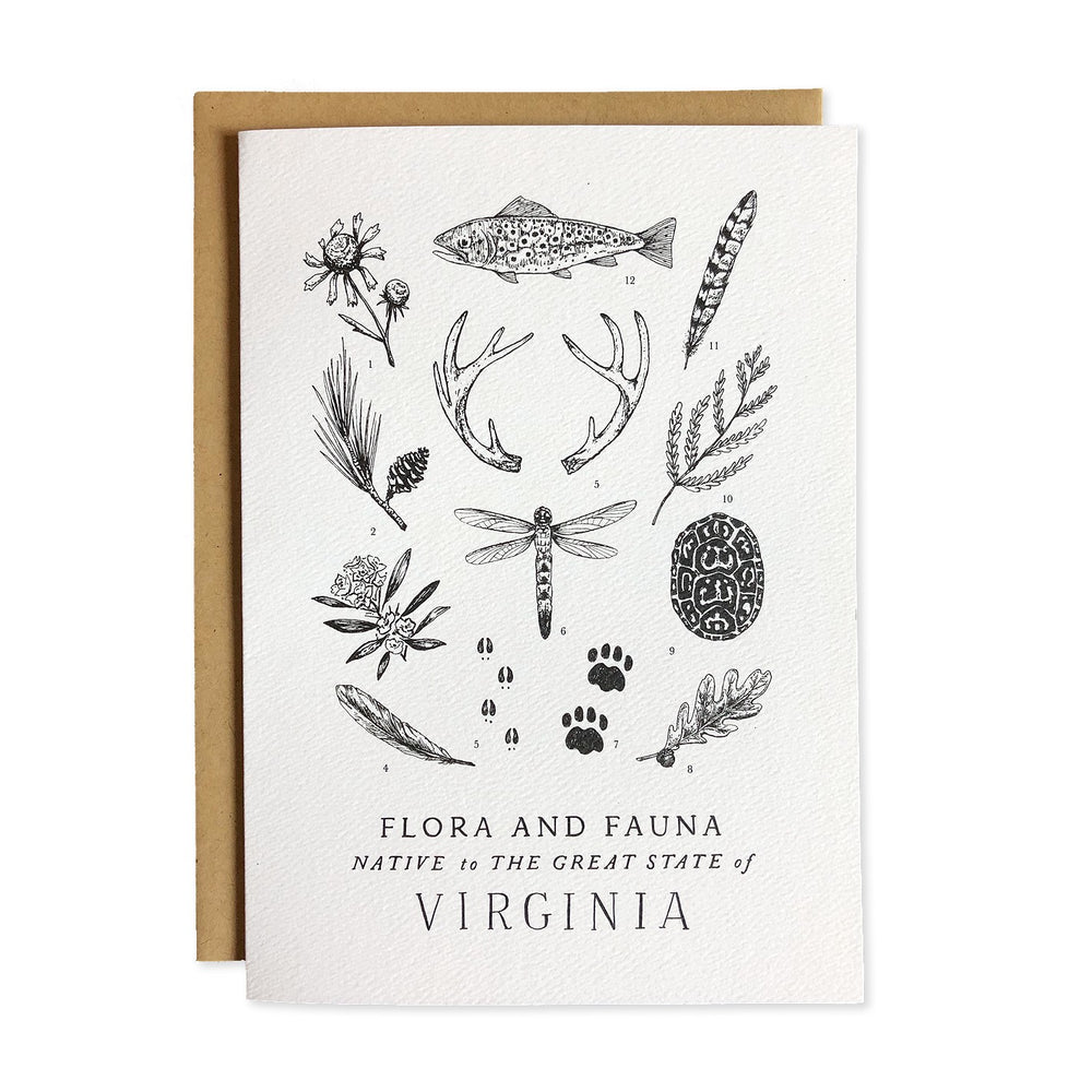 Field Guide Greeting Cards