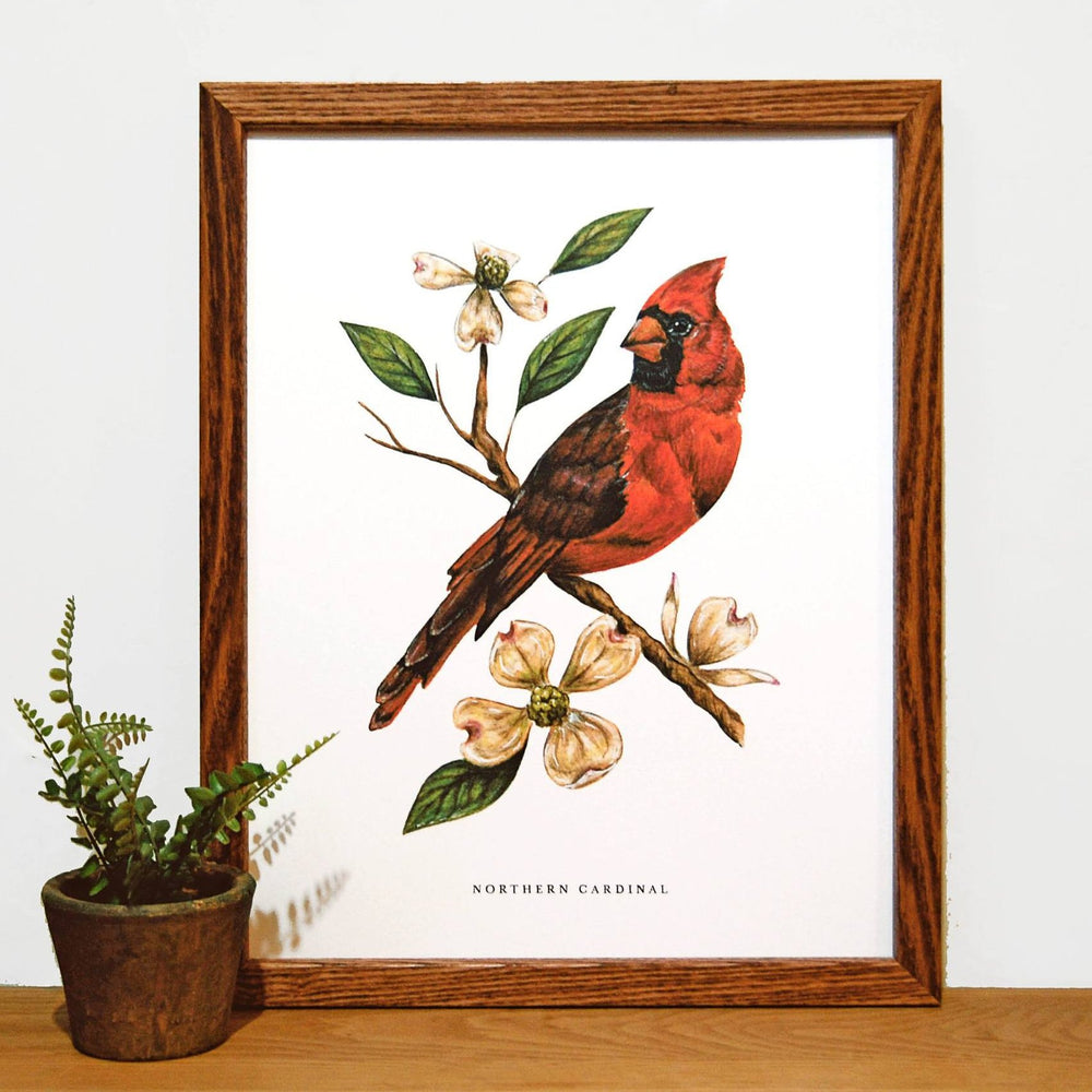 Northern Cardinal Print