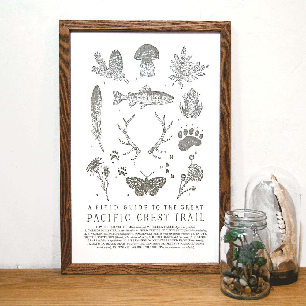 Pacific Crest Trail Field Guide Print