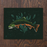 Brook Trout Print