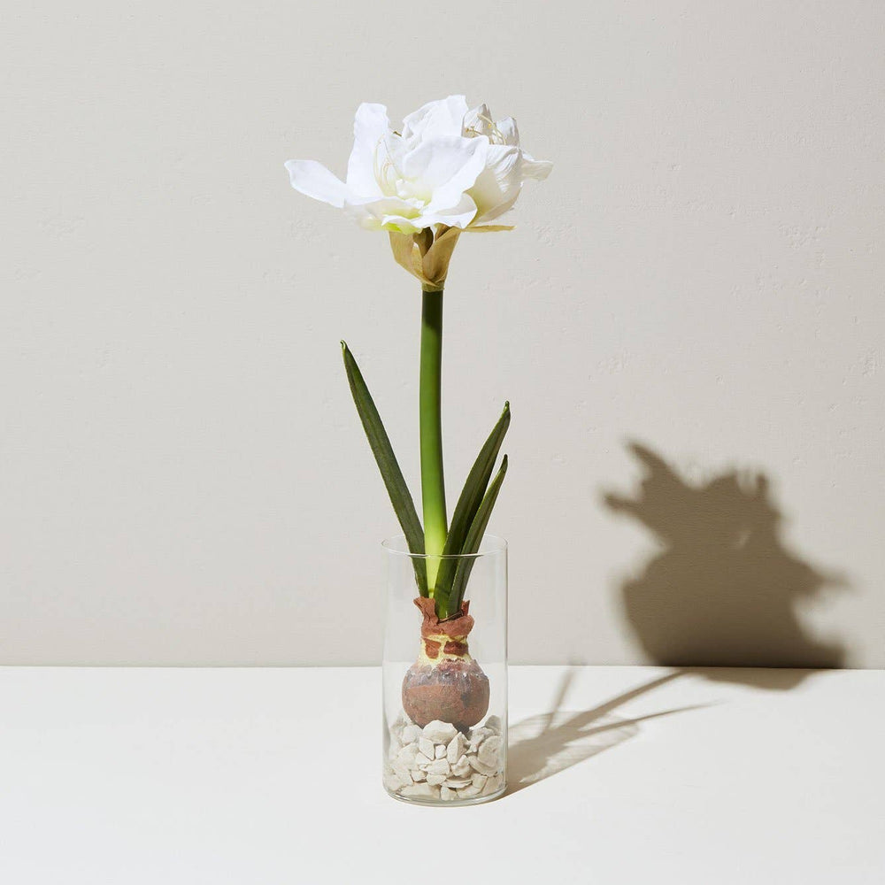 Bulb Kit
