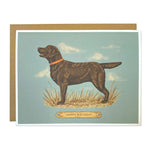 Happy Birthday Chocolate Lab Card