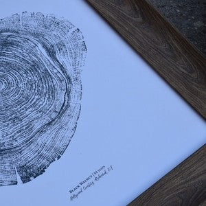 Black Walnut Print