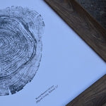 Black Walnut Print
