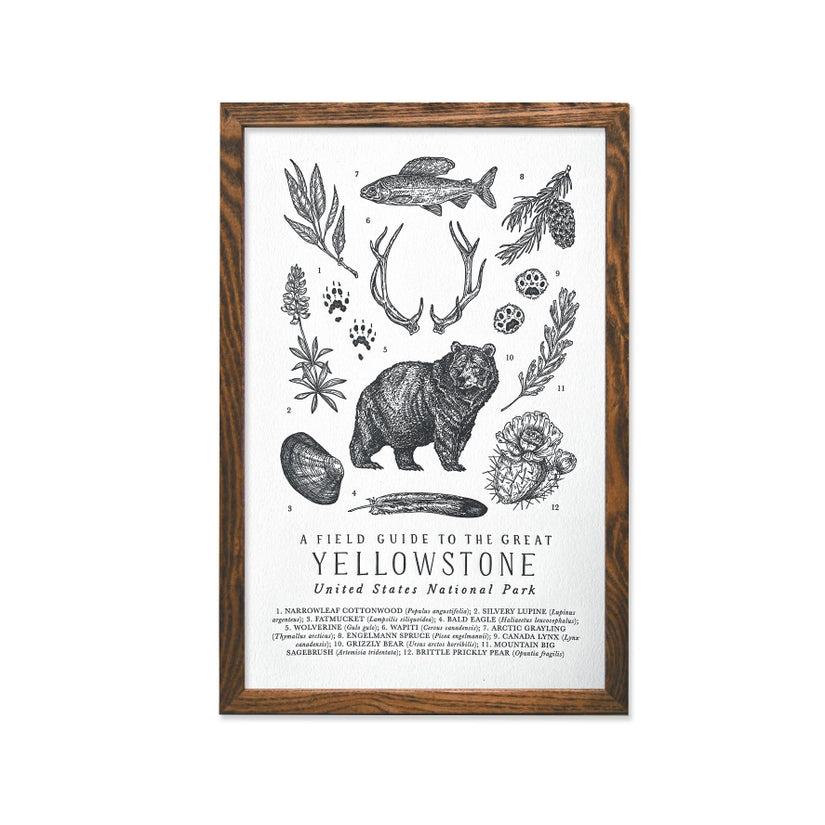 Yellowstone Field Guide Letterpress Print