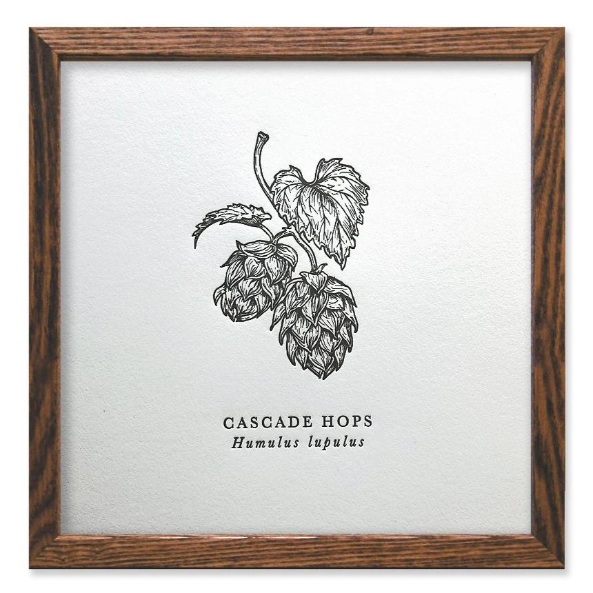 Cascade Hops Letterpress Print