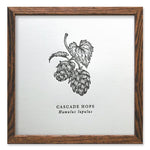 Cascade Hops Letterpress Print