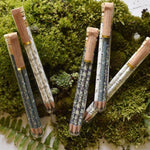 Pencil Terrarium
