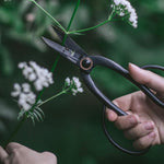 Artisan Trimming Shears