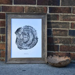 Red Maple Print