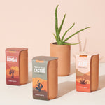 Terracotta Grow Kit