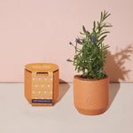 Tiny Terracotta Grow Kit